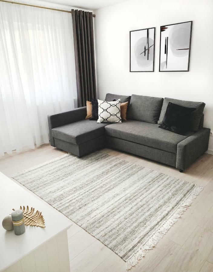 Mhc Quiet Deluxe Suite Near Downtown - Free Parking Brašov Exteriér fotografie